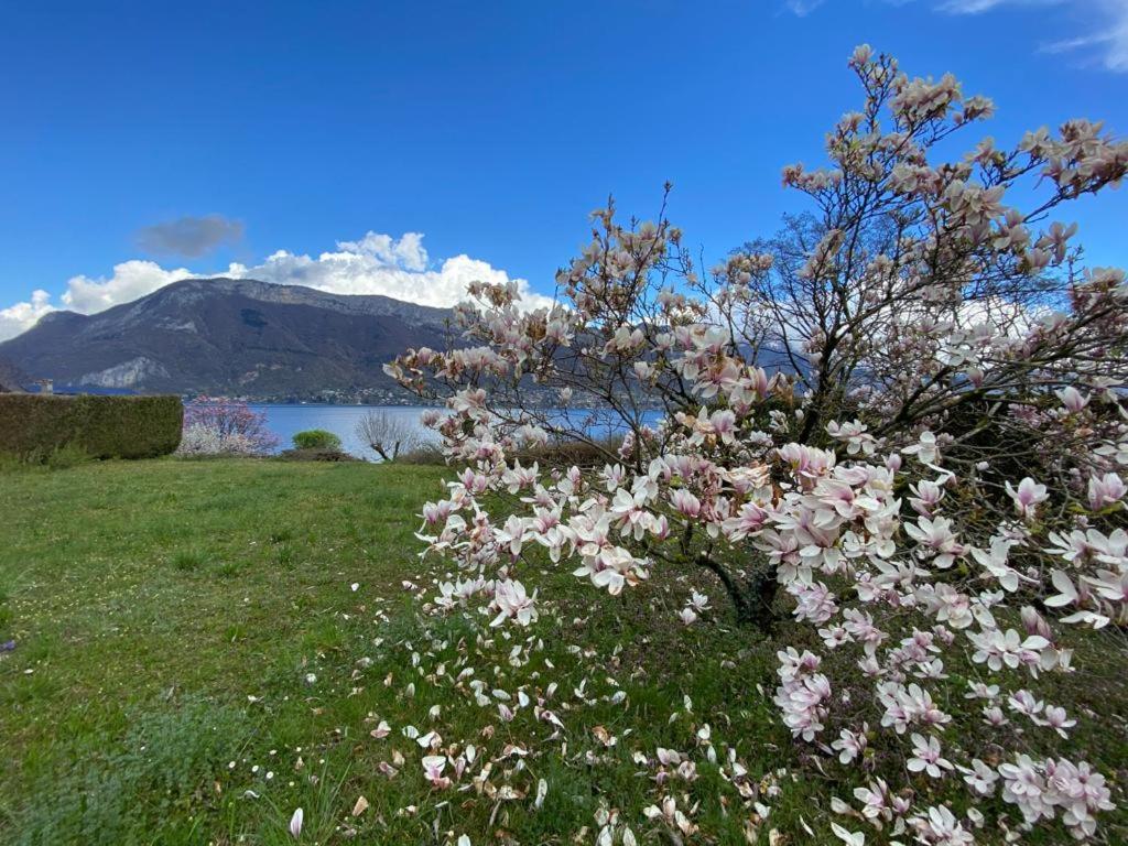 La Roseliere Sud, Vue Lac & Jardin Севріє Екстер'єр фото